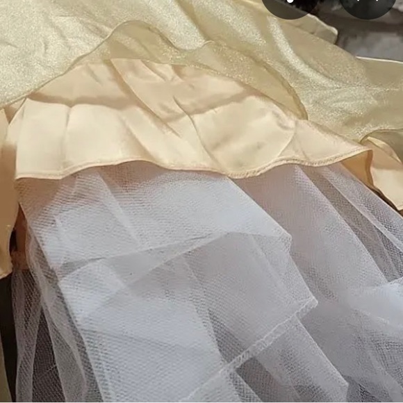 Vintage  80’s  Organza / Velvet Ballgown. sz 12 - Picture 6 of 7